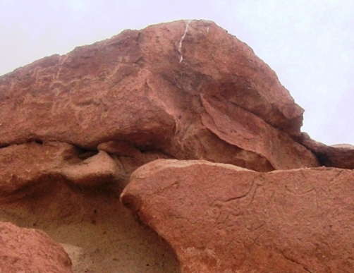 Camélidos representados a través de petroglifos en positivo y en negativo. Sitio arqueológico Yerbas Buenas. Desierto de Atacama, Chile. Foto: Ximena Jordán.